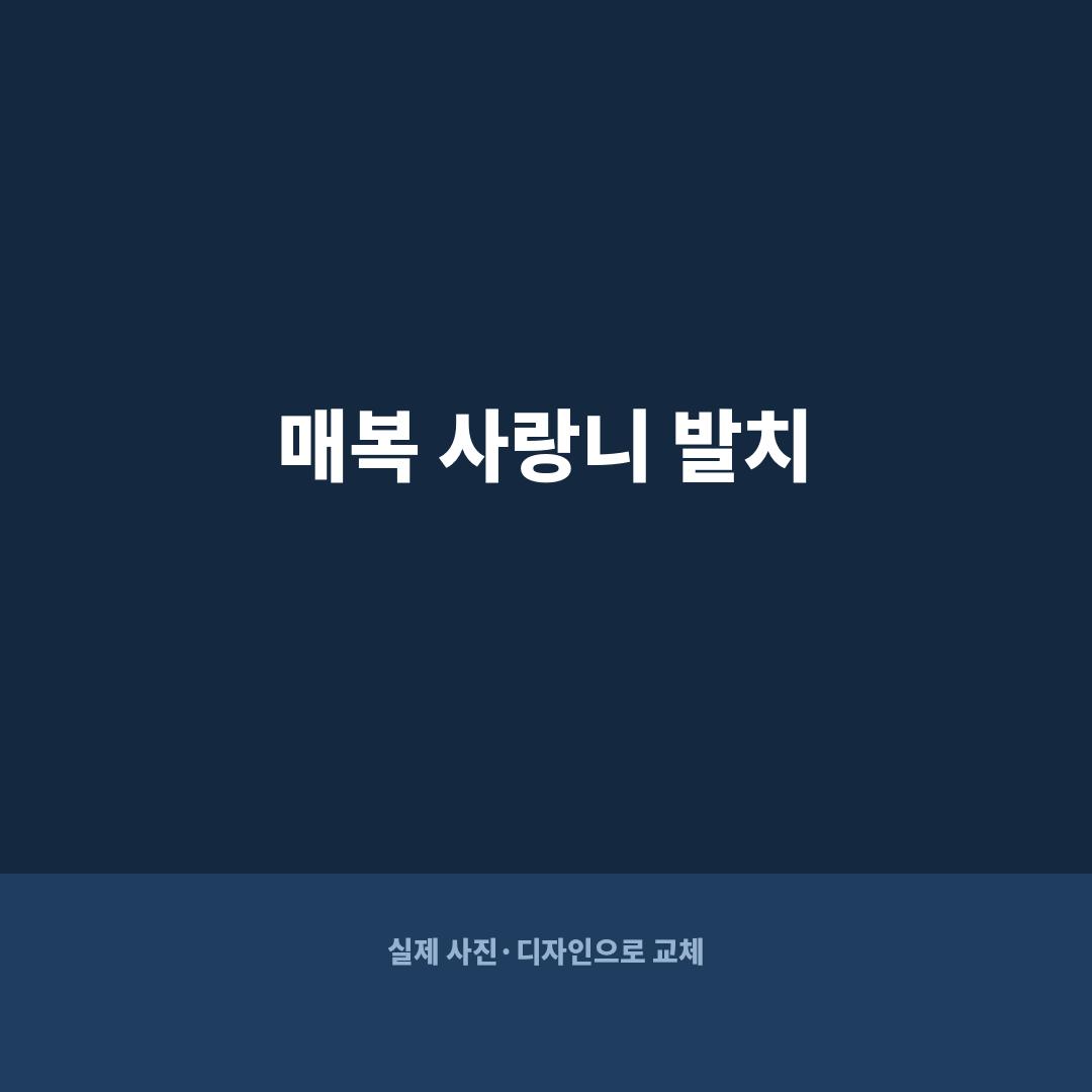 광주사랑니 매복사랑니 발치