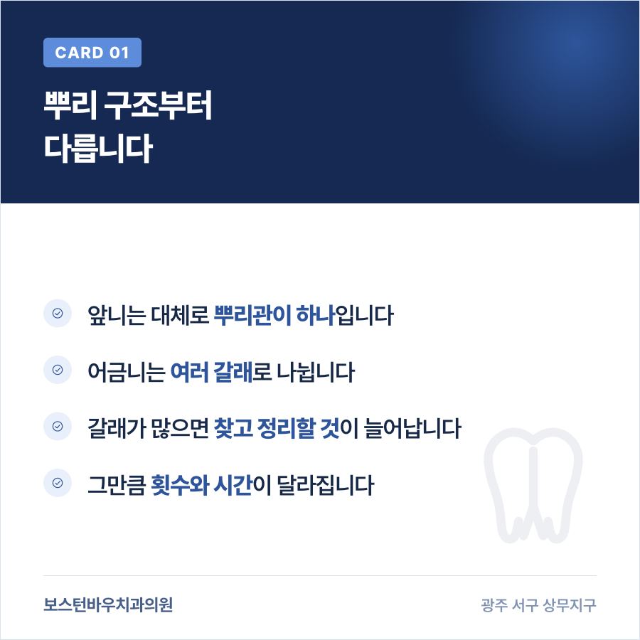 앞니와 어금니의 뿌리관 구조 차이를 정리한 카드뉴스