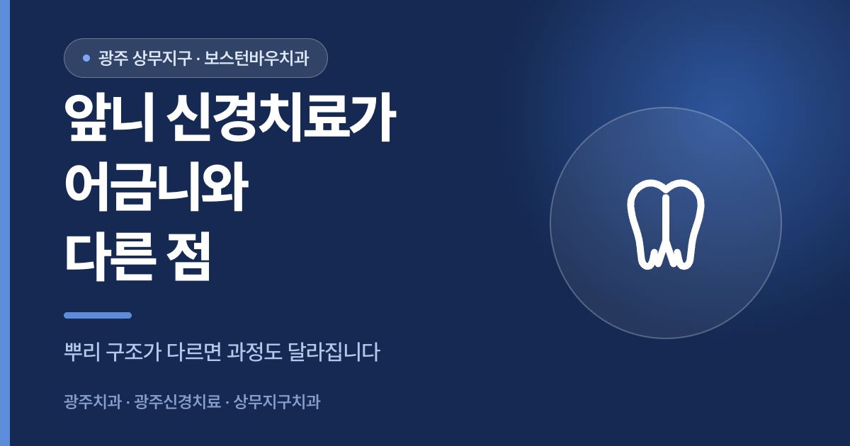 앞니와 어금니 광주신경치료의 차이를 설명하는 상무지구치과 썸네일