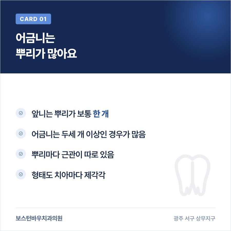 광주신경치료 어금니 다근관 구조 설명