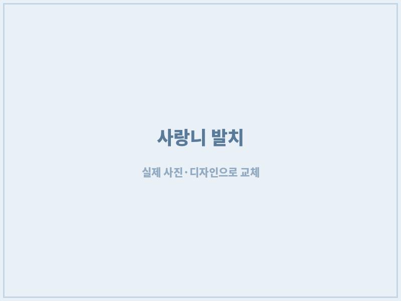 광주사랑니 매복사랑니 발치