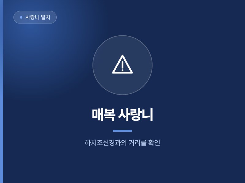 사랑니 발치 매복 사랑니 하치조신경과의 거리를 확인